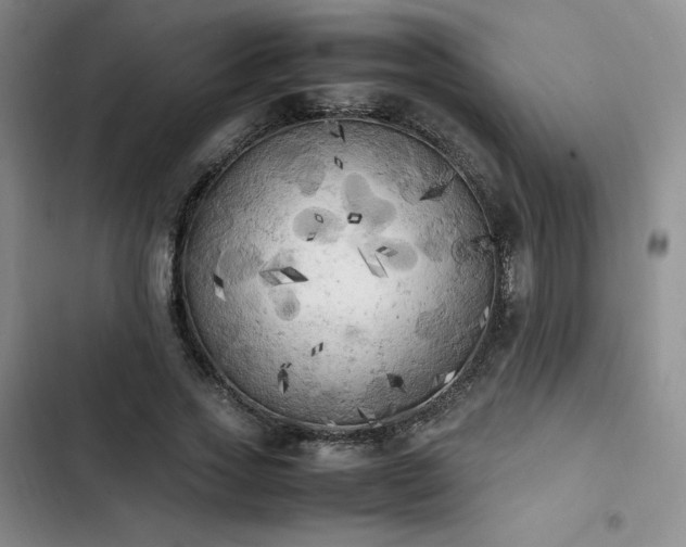 X0000102860733200808251225