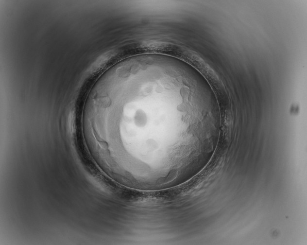 X0000102860734200808251225