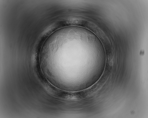 X0000102860735200808251225