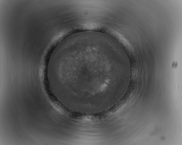 X0000102860736200808251225