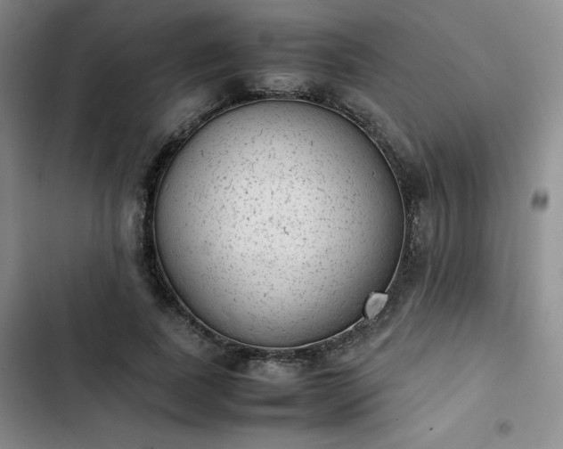 X0000102860739200808251225