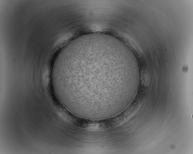 X0000102860740200808251225