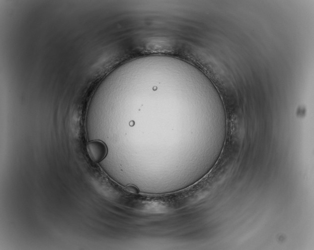 X0000102860741200808251225