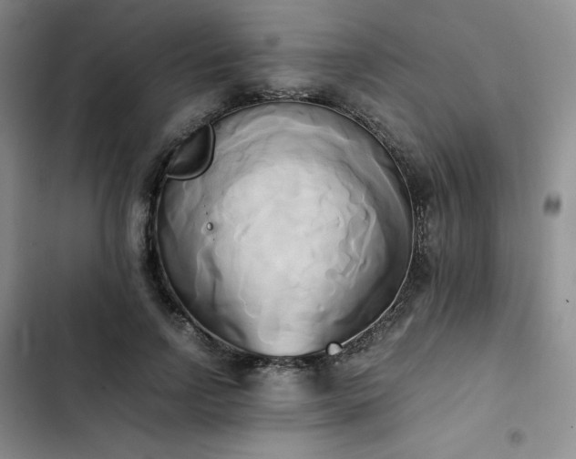 X0000102860742200808251225