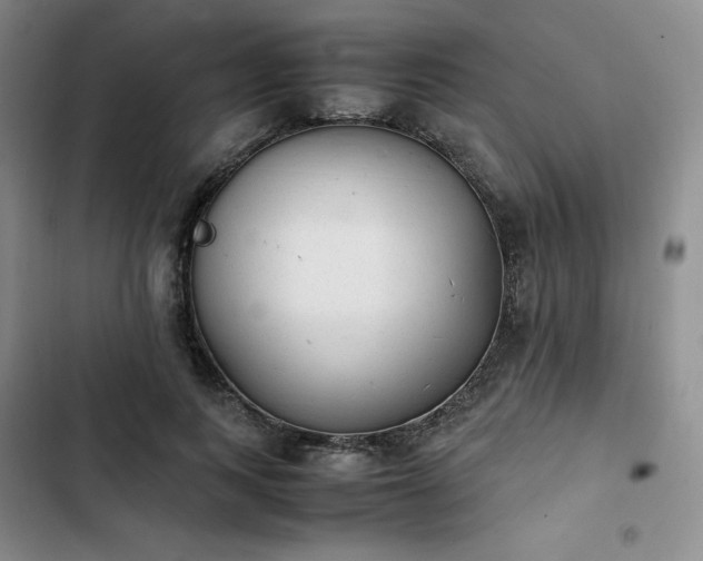 X0000102860743200808251225