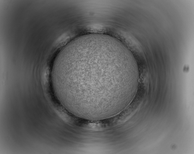 X0000102860744200808251226