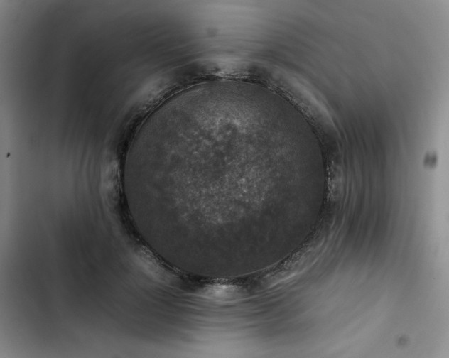 X0000102860748200808251226