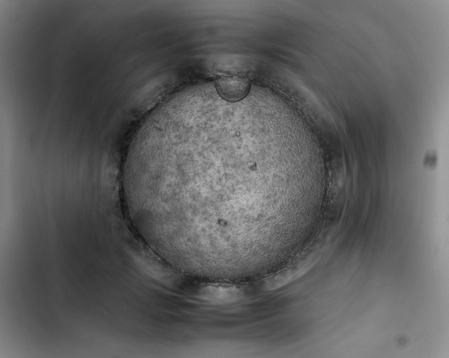 X0000102860749200808251226