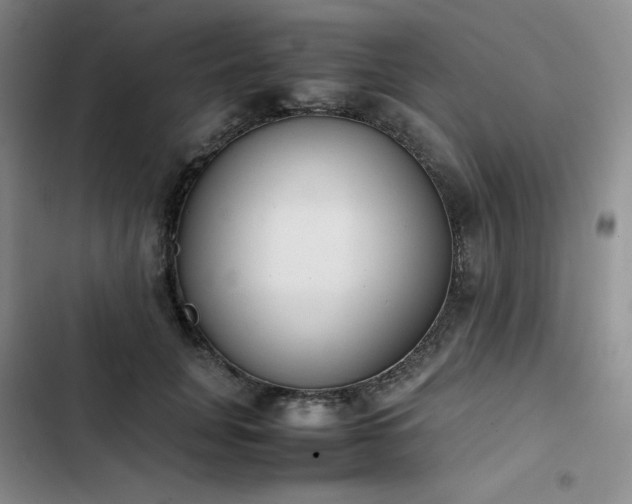 X0000102860751200808251226