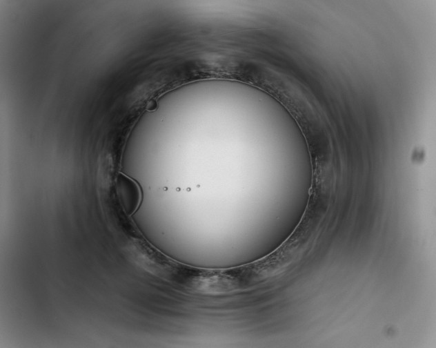 X0000102860752200808251226