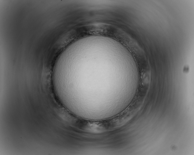 X0000102860753200808251226