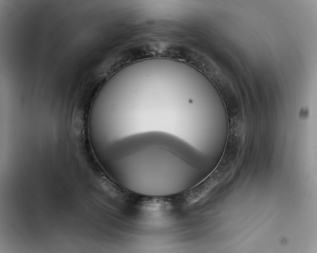 X0000102860754200808251226