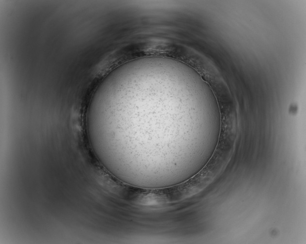 X0000102860755200808251226