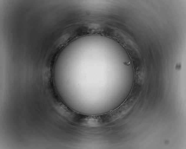 X0000102860756200808251226