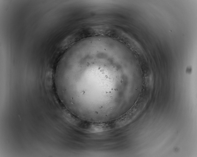 X0000102860757200808251226