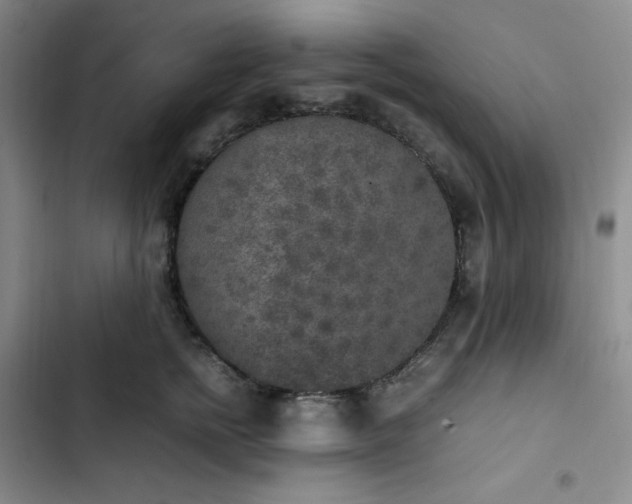 X0000102860758200808251226