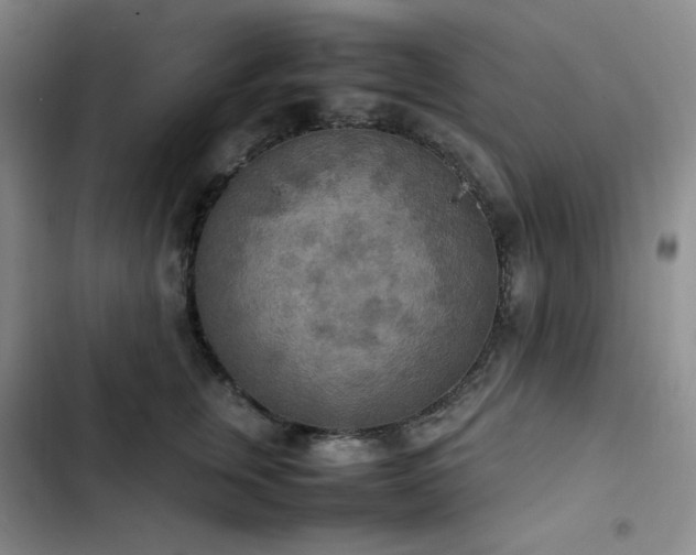 X0000102860759200808251226