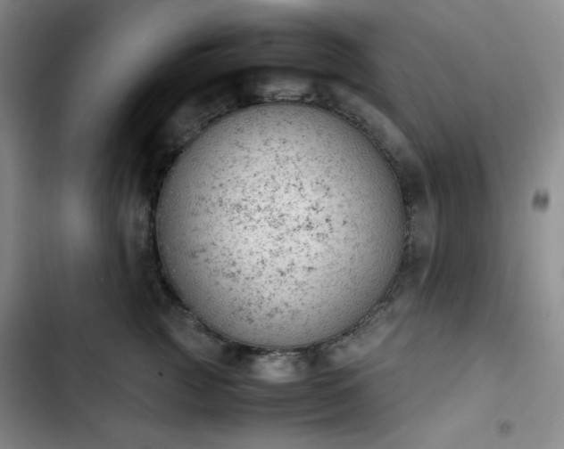 X0000102860761200808251226