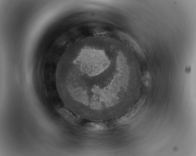 X0000102860763200808251226