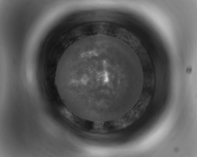 X0000102860766200808251226