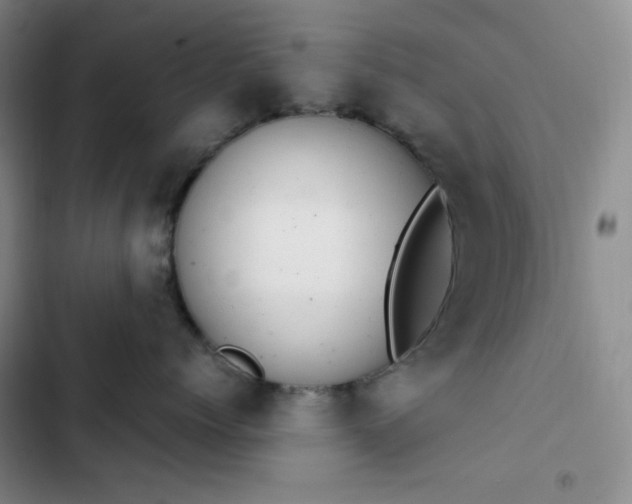 X0000102860768200808251226