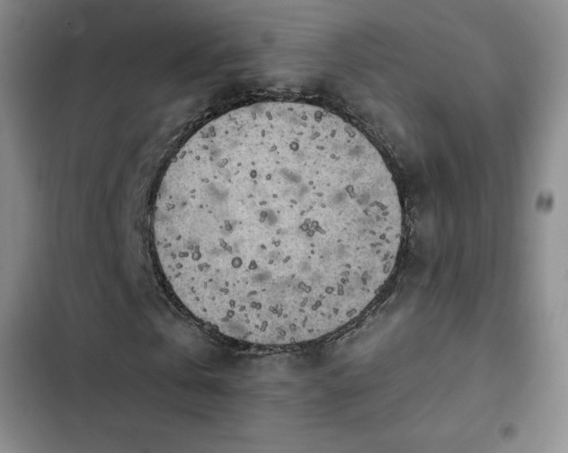 X0000102860769200808251225