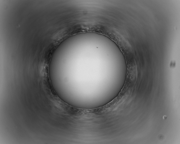 X0000102860770200808251225