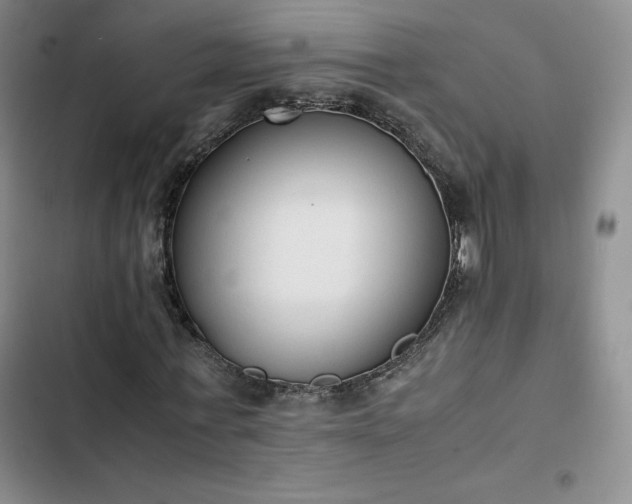 X0000102860771200808251225