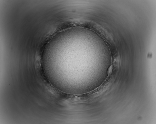 X0000102860772200808251225