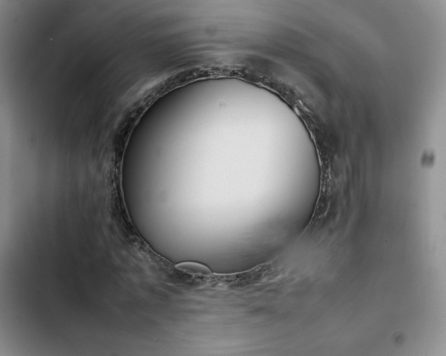 X0000102860773200808251225