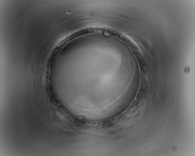 X0000102860775200808251225