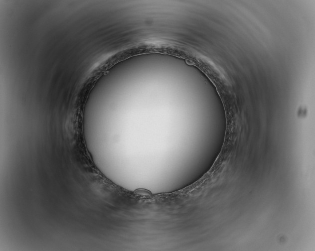 X0000102860776200808251225