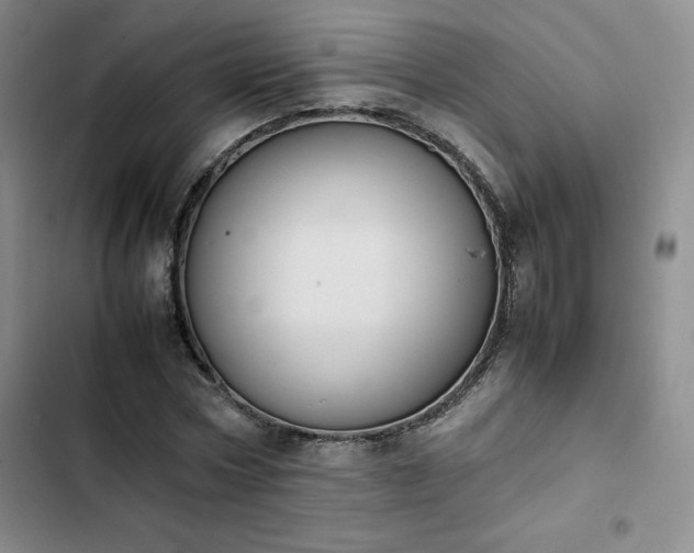 X0000102860778200808251225