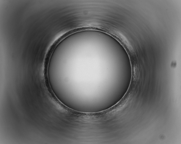 X0000102860780200808251225