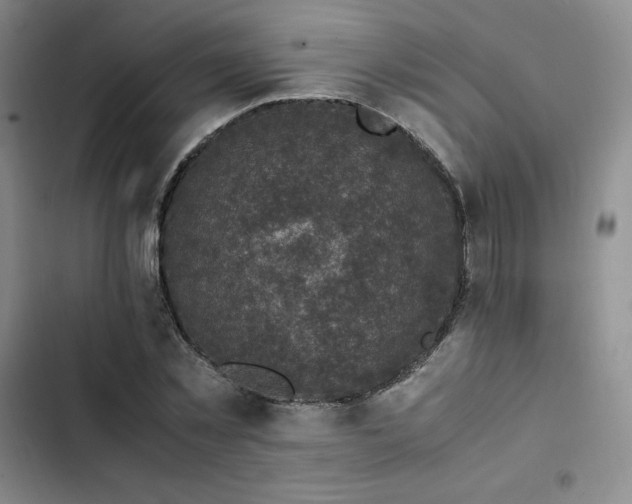 X0000102860781200808251225