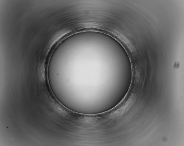 X0000102860782200808251225