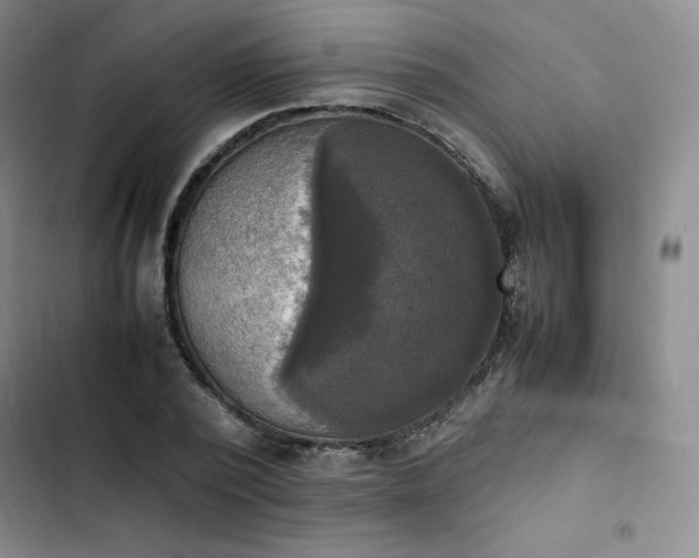 X0000102860784200808251225