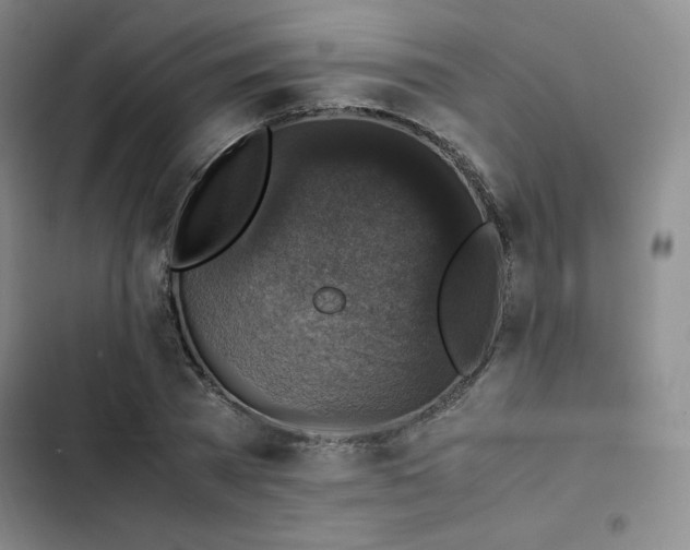 X0000102860785200808251225