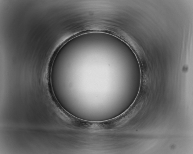 X0000102860787200808251225