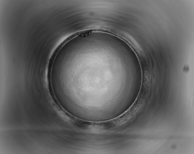 X0000102860788200808251225