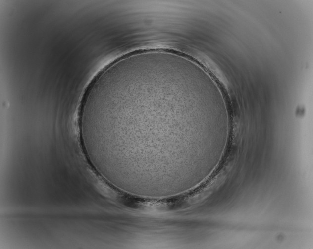 X0000102860789200808251225