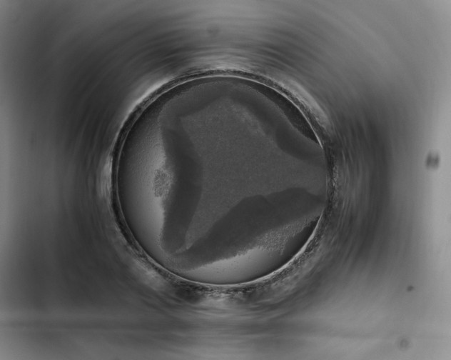 X0000102860790200808251225