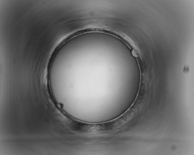 X0000102860791200808251225