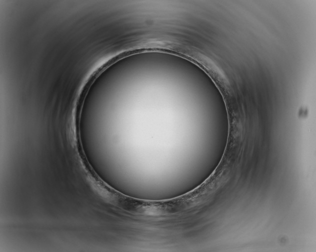 X0000102860792200808251225