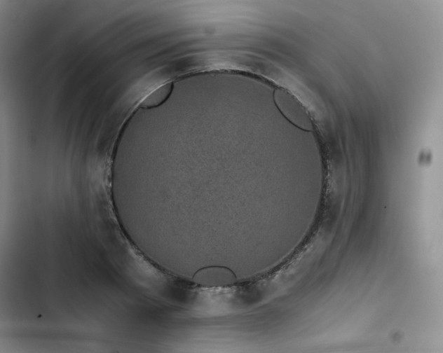 X0000102860793200808251225