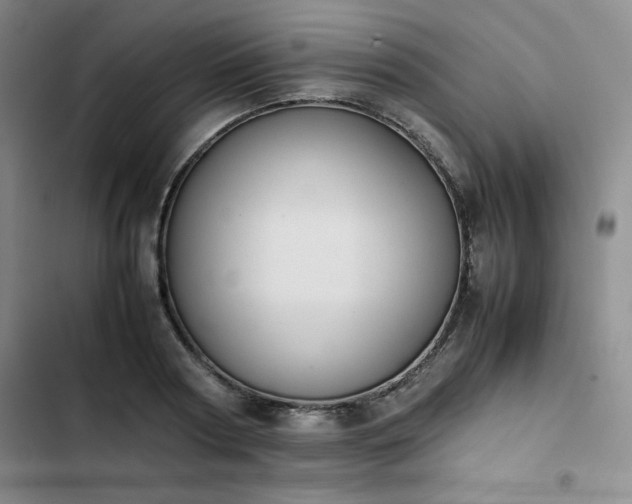 X0000102860794200808251225