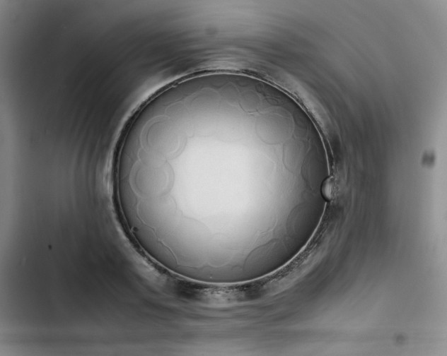 X0000102860795200808251225