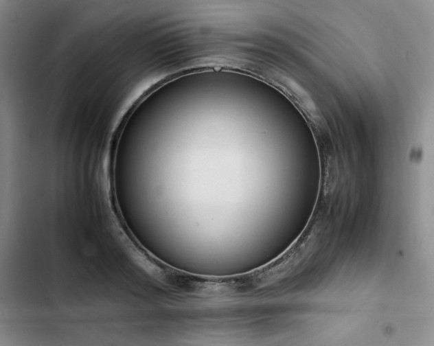 X0000102860796200808251225