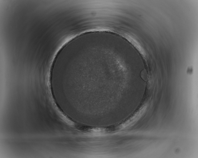 X0000102860797200808251225