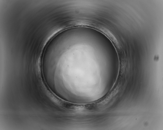 X0000102860798200808251225